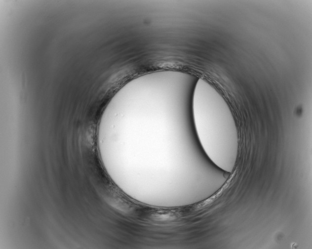 X0000099940175200805231029