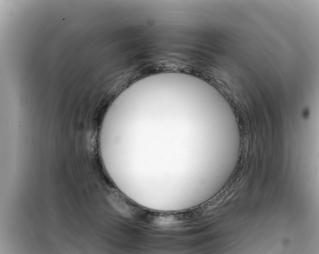 X0000099940177200805231029