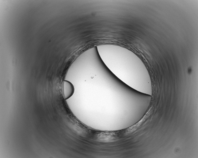 X0000099940179200805231029