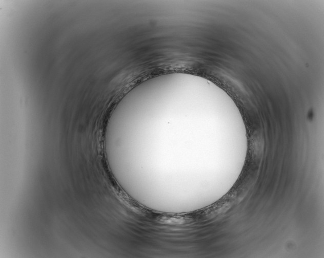 X0000099940181200805231029