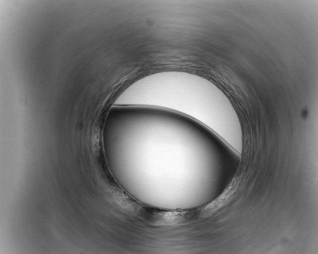 X0000099940184200805231029