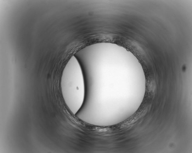 X0000099940185200805231029