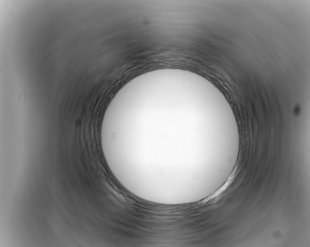 X0000099940186200805231029