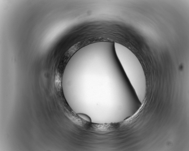 X0000099940191200805231029