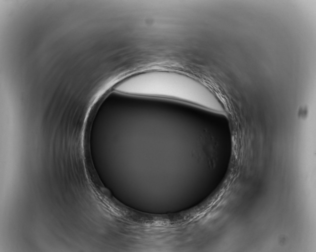 X0000099940196200805231028