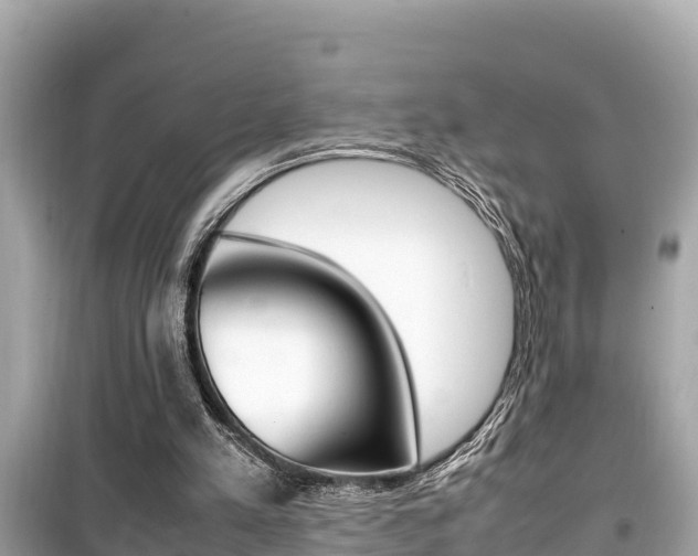 X0000099940197200805231028