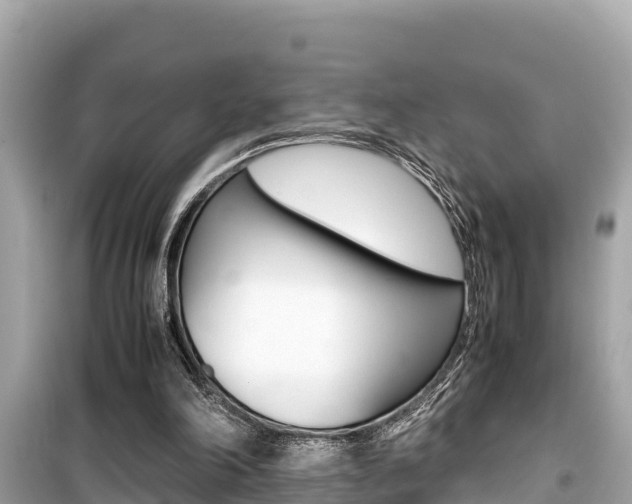X0000099940198200805231028
