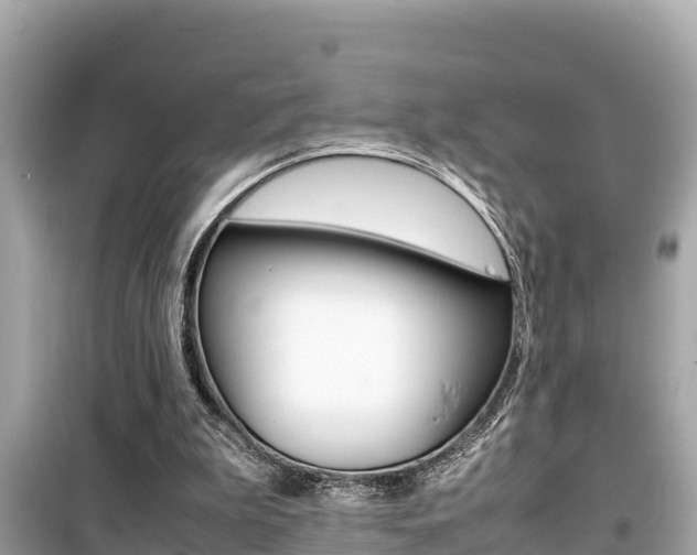 X0000099940199200805231028
