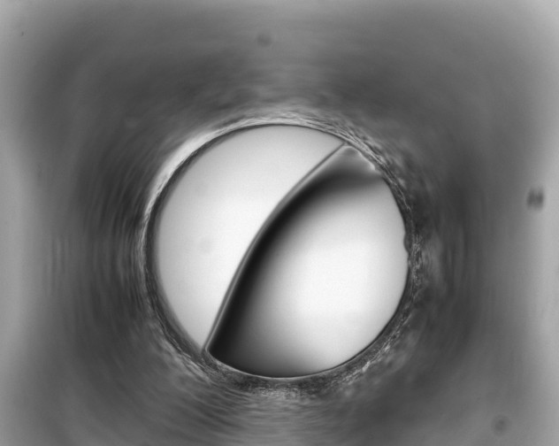 X0000099940200200805231028