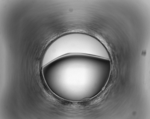 X0000099940201200805231028