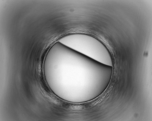 X0000099940202200805231028