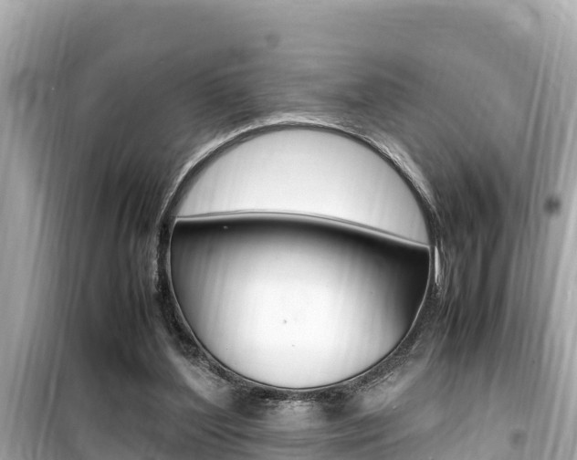 X0000099940204200805231028