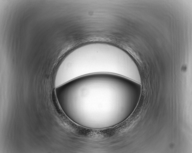 X0000099940207200805231028