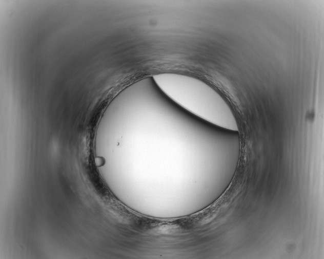 X0000099940210200805231028