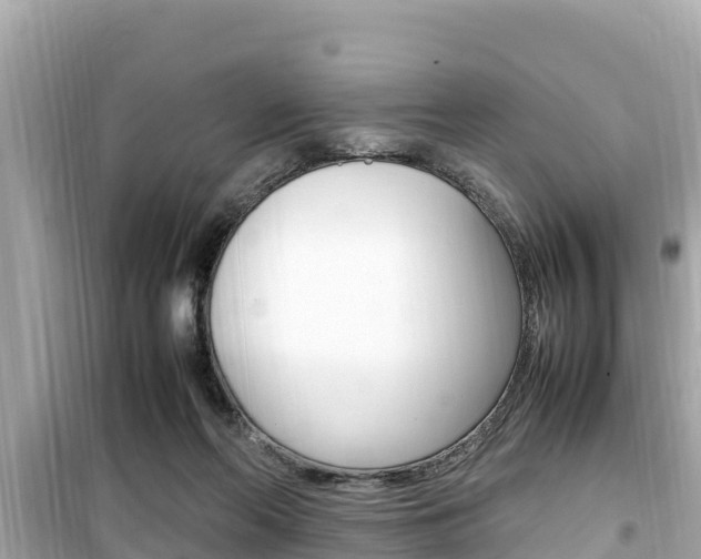 X0000099940214200805231028