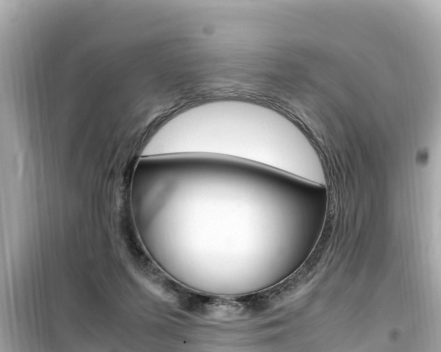 X0000099940215200805231028