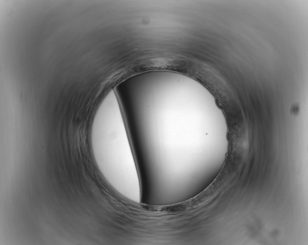 X0000099940216200805231028