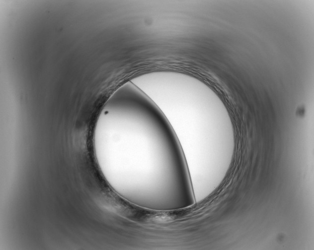 X0000099940217200805231028