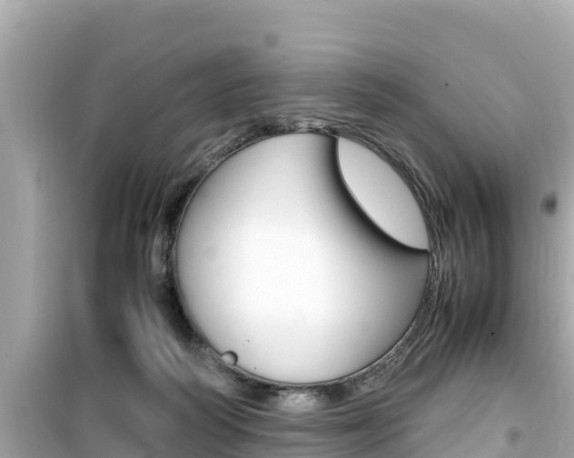X0000099940218200805231028