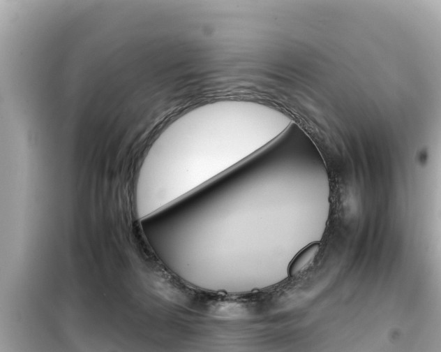 X0000099940224200805231028