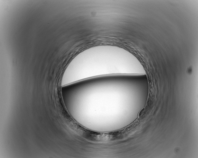 X0000099940225200805231028