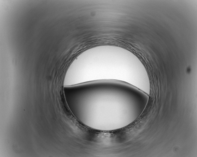 X0000099940227200805231028