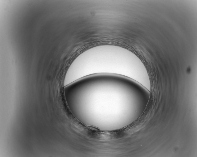 X0000099940229200805231028