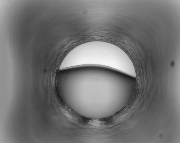 X0000099940231200805231028