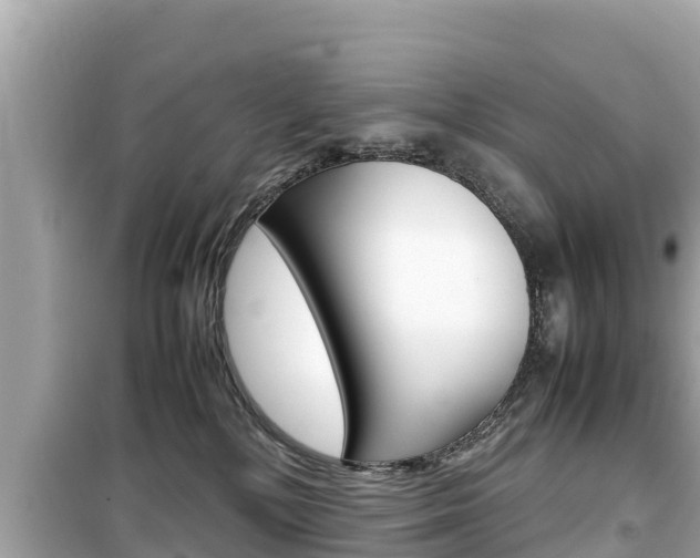 X0000099940232200805231028