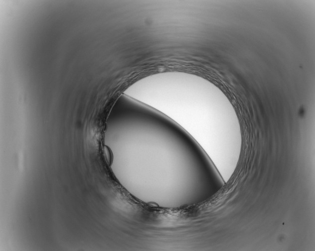 X0000099940235200805231028