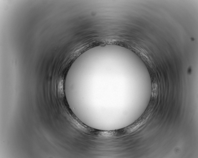 X0000099940238200805231028