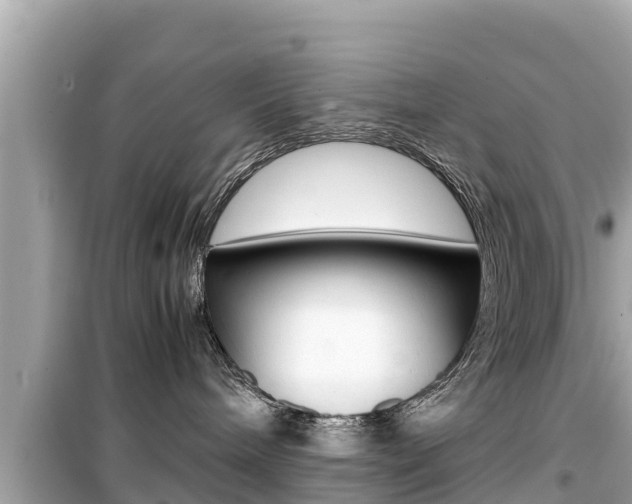 X0000099940240200805231028