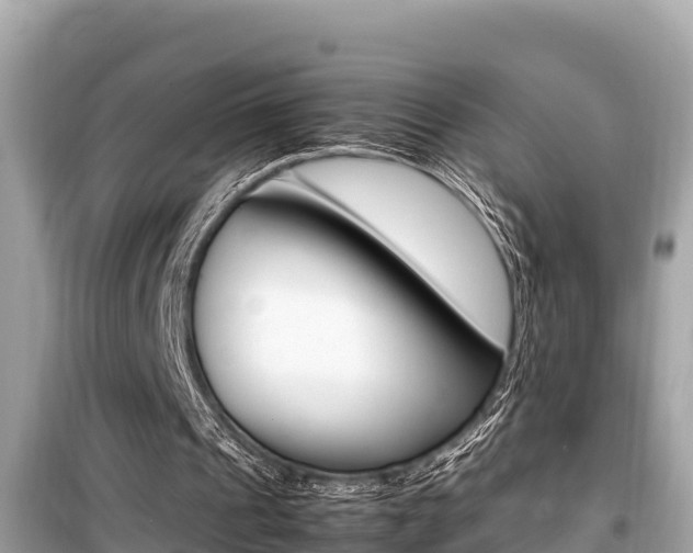 X0000099940241200805231027