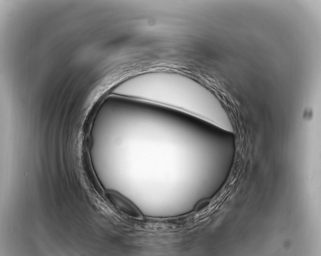X0000099940242200805231027