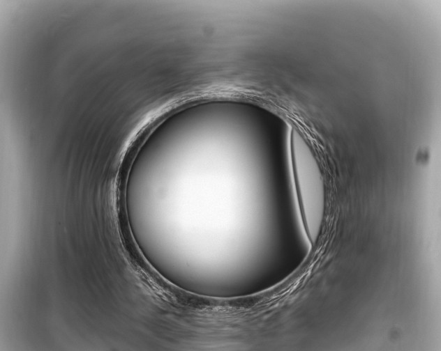 X0000099940244200805231027