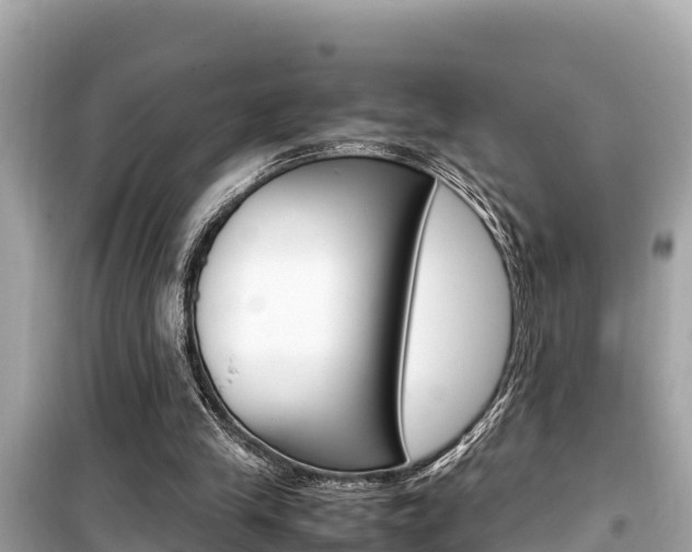 X0000099940245200805231027