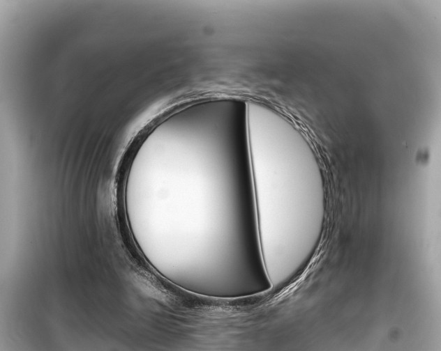 X0000099940246200805231027