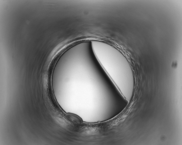 X0000099940247200805231027