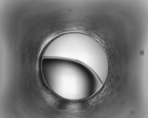 X0000099940248200805231027