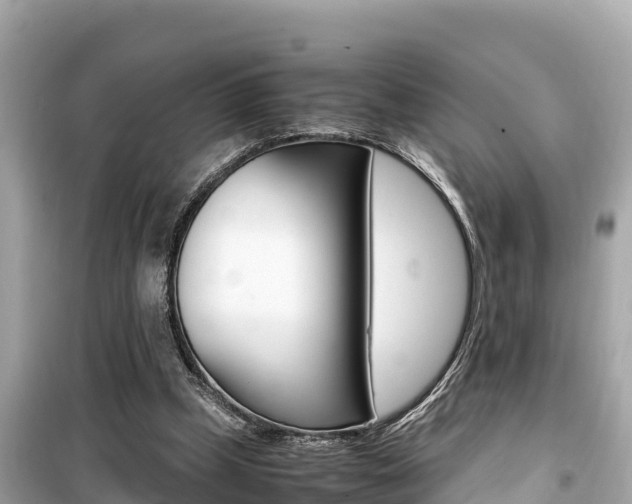 X0000099940249200805231027