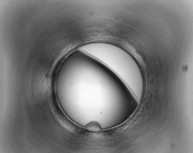 X0000099940250200805231027