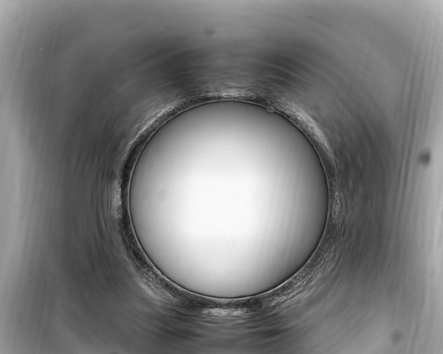 X0000099940251200805231027