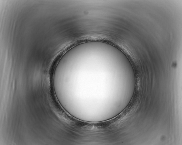 X0000099940254200805231027