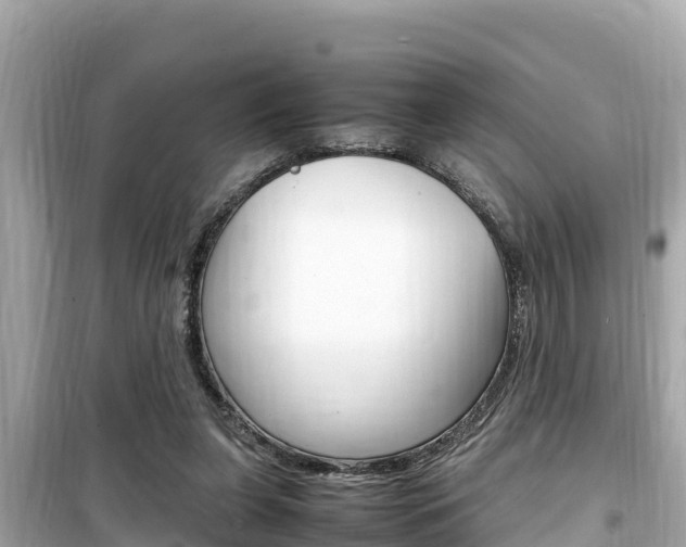 X0000099940255200805231027