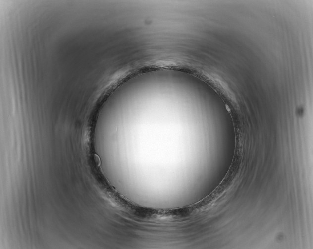 X0000099940260200805231027