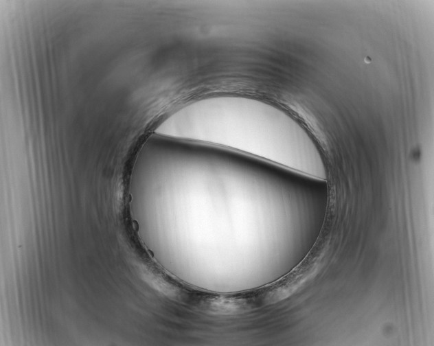 X0000099940261200805231027