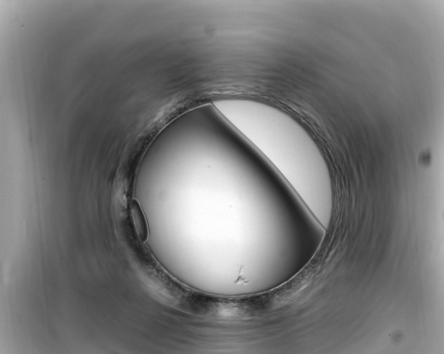 X0000099940264200805231027
