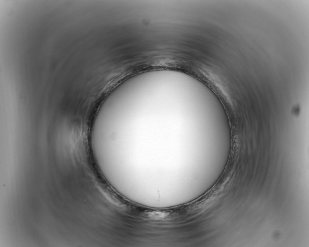 X0000099940265200805231027