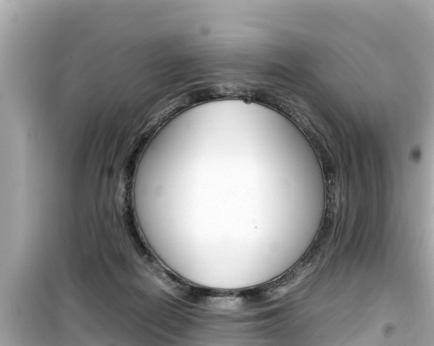 X0000099940266200805231027