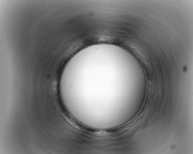 X0000099940269200805231027
